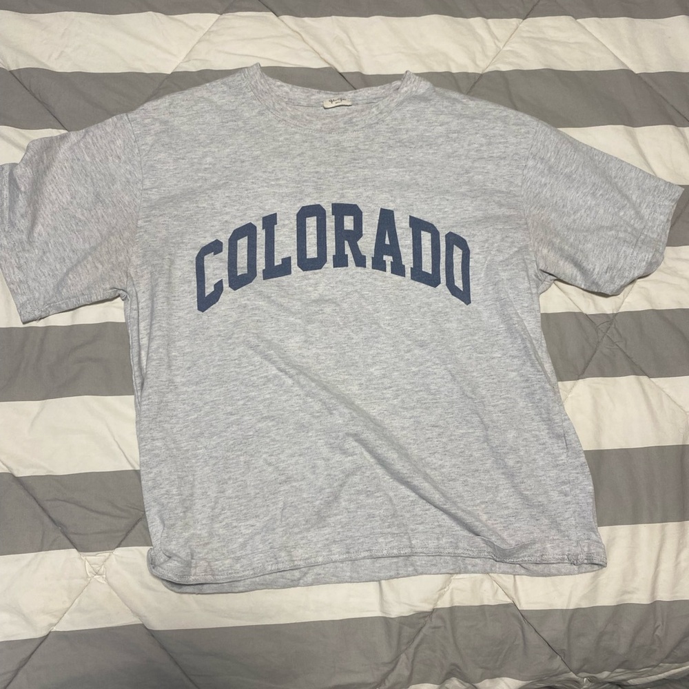 Brandy Melville/J Galt Gray and Blue Graphic Tee
